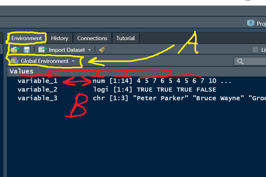 RStudio Global Environment