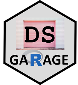 DS Garage